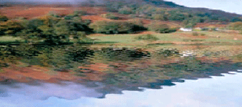 《圖六　使用疊加凹凸貼圖繪製的水波　圖註:從中心擴散開的水波疊加在湖中移動的水波上。著色此影像僅需連結四個三角形。》