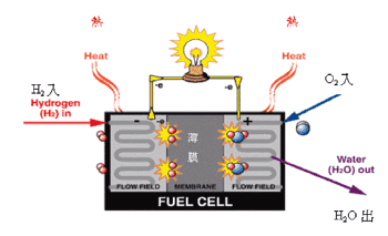 《圖三　燃料電池基本原理》