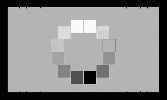 《圖二　光電轉換函數圖（OECF）的12個均勻灰色區塊，可用以決定不同亮度的雜訊位準。》
