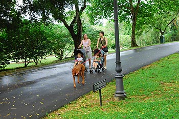 《图二十二 绿化是新加坡政府极在意的政策，甚至连填海而来的新生地都用来盖公园。》