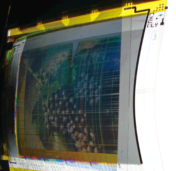 《圖五  工研院顯示中心所發表之軟性a-Si TFT LCD顯示器原型》