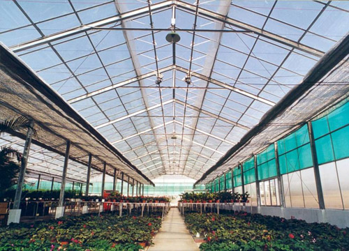 《圖一　太陽能植物工廠本身就能獨自提供植物工廠內包括照明、農業運作所需的所有電力。》