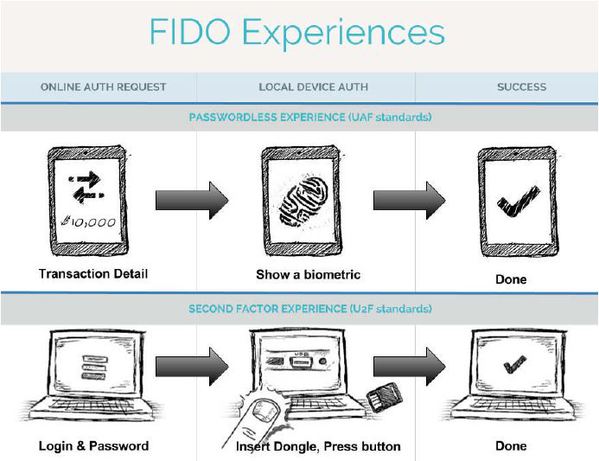 圖一 :  FIDO聯盟生物認證流程。（圖/www.fidoalliance.org）