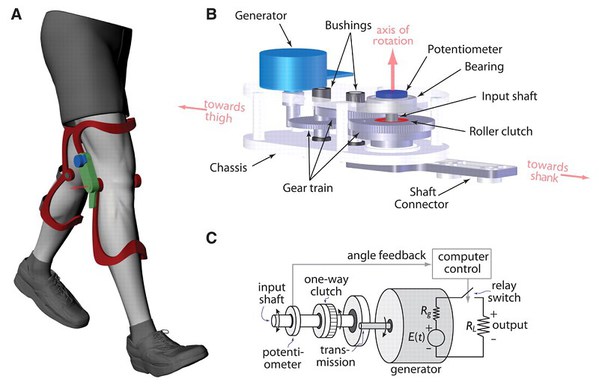 图四 : 膝上能量采集器，这是一种生物力学的能量采集，透过传感器侦测膝关节的运动状态，当膝关节角度移动至能量最大的时候采集能量。