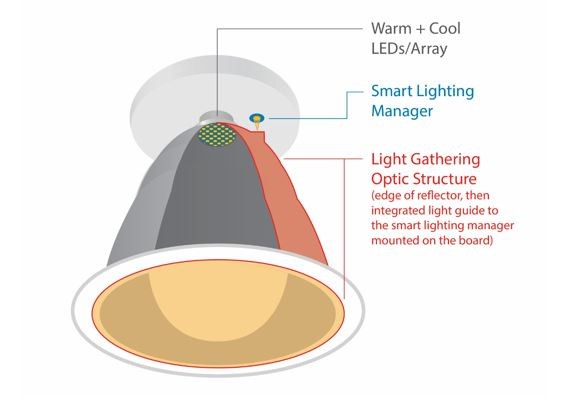 圖3 : 光導（light guide）將來自筒燈反射器邊緣的光線引導至LED板上的色彩感測器