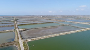 圖一 : 永鑫能源將協助 Google 架設 40,000個太陽能面板至台南的養殖場魚池,將土地有效利用率最大化,並嘉惠當地的養殖業者。