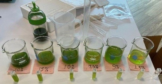 圖11 : 用菠菜製成的葉綠素樣本