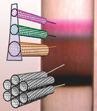 精拣奈米管的方法，将可发展以奈米管为基础的计算机。（Credit: Mark Hersam, Northwestern University）