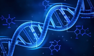 DNA是一種媒介物質，同時也隱含了所有訊息。