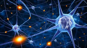 根据《神经科学领域之研究前沿分析》研究显示，目前全世界神经科学研究前两大领域集中於临床神经学和神经相关疾病。（source: Islamic Web Library）