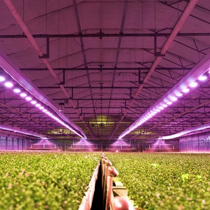 艾邁斯歐司朗光譜感測器成功應用在植物照明場景