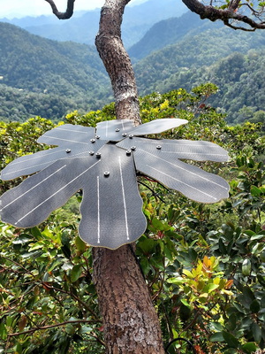 英飞凌与Rainforest Connection合作，利用先进的感测器技术保护雨林
