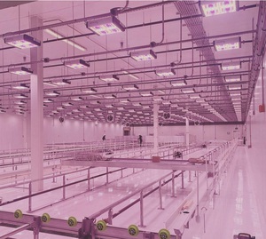 艾迈斯欧司朗OSLON植物照明先进技术，协助Revolution Microelectronics点亮未来农业