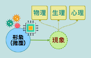 图一 : 从形象产生种种现象与交互作用示意