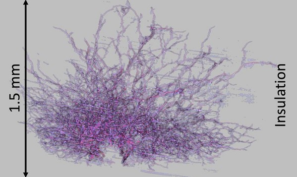圖1 : 在使用過程的電纜絕緣層中形成的典型「刷狀」電樹（electrical tree）。圖為3D顯微 CT掃描。