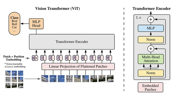 图二 : Vision Transformer的推论模型（source：paperswithcode.com）