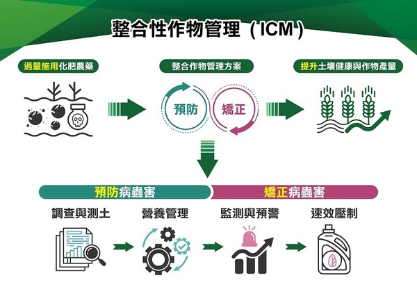 图五 : ICM管理模式通过运用大数据分析、人工智慧及物联网技术，监控作物生长状况及土壤健康，根据作物的不同生长阶段进行精准管理。图为ICM施作流程。