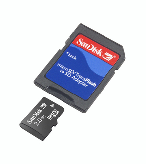 SanDisk microSD 2GB记忆卡 BigPic:750x839